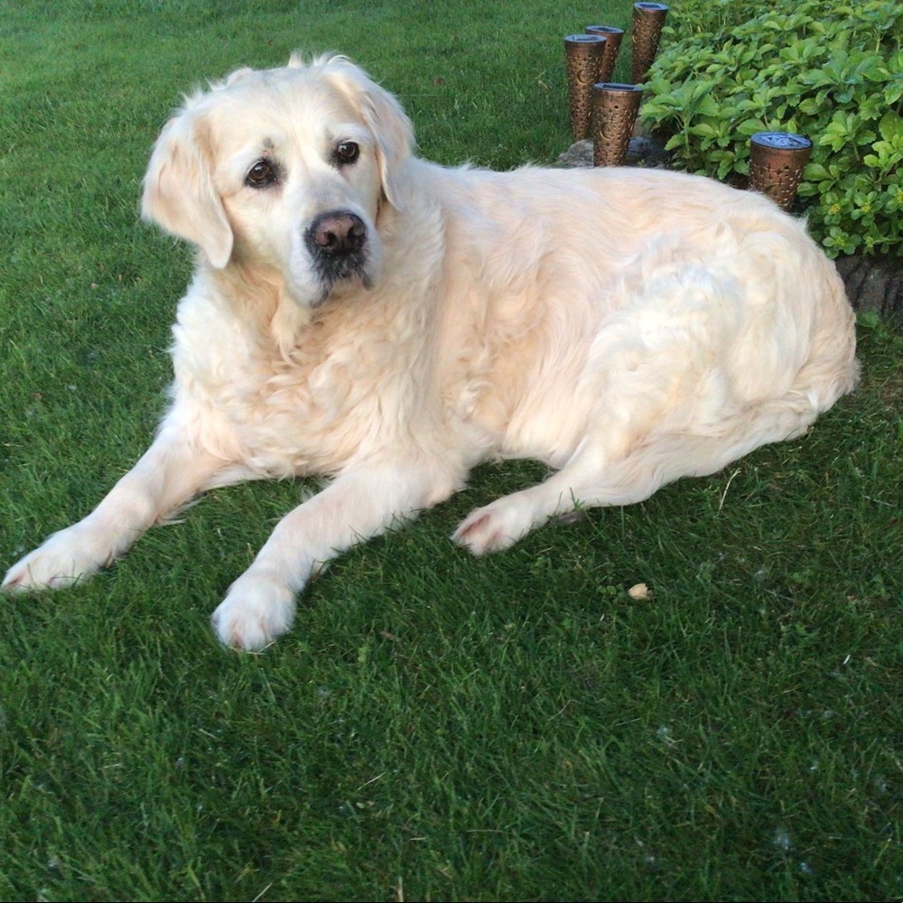 Meet your Posher, Cheryl